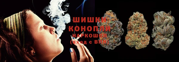гидропоника Иннополис