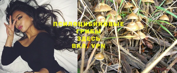 дурь Зеленодольск
