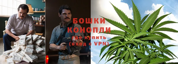ГАЛЛЮЦИНОГЕННЫЕ ГРИБЫ Зеленокумск
