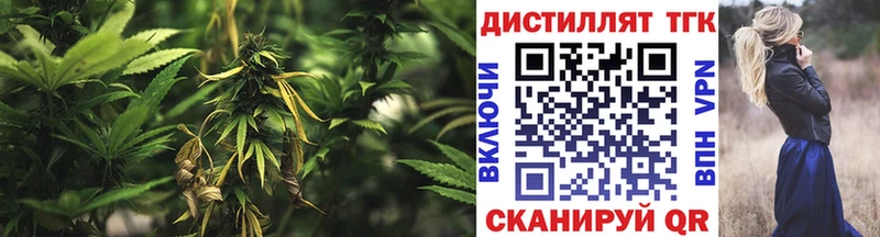 ТГК Wax Гвардейск