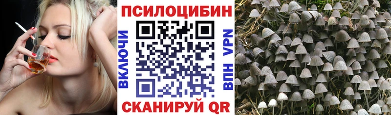 Псилоцибиновые грибы MAGIC MUSHROOMS  Купить где  Гвардейск 