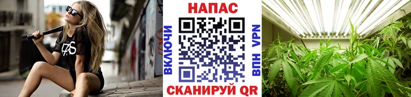 Каннабис индика  Купить  Гвардейск 